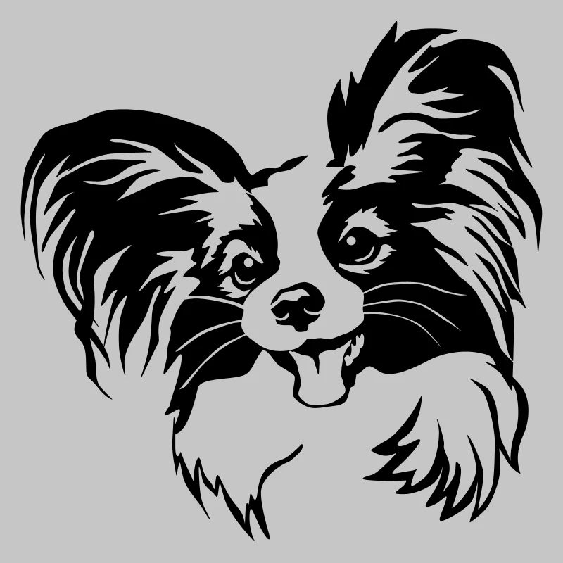 Papillon head