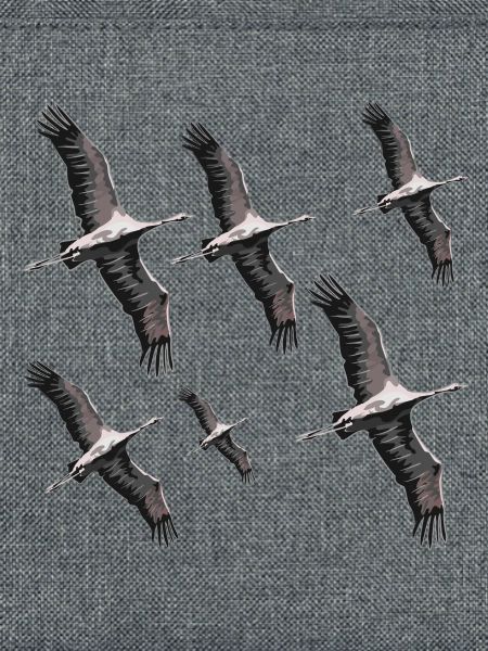 Vogelzug Kraniche
