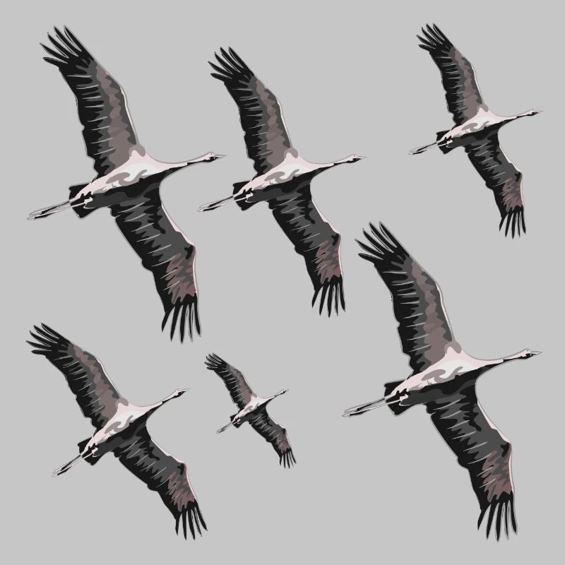 Vogelzug Kraniche