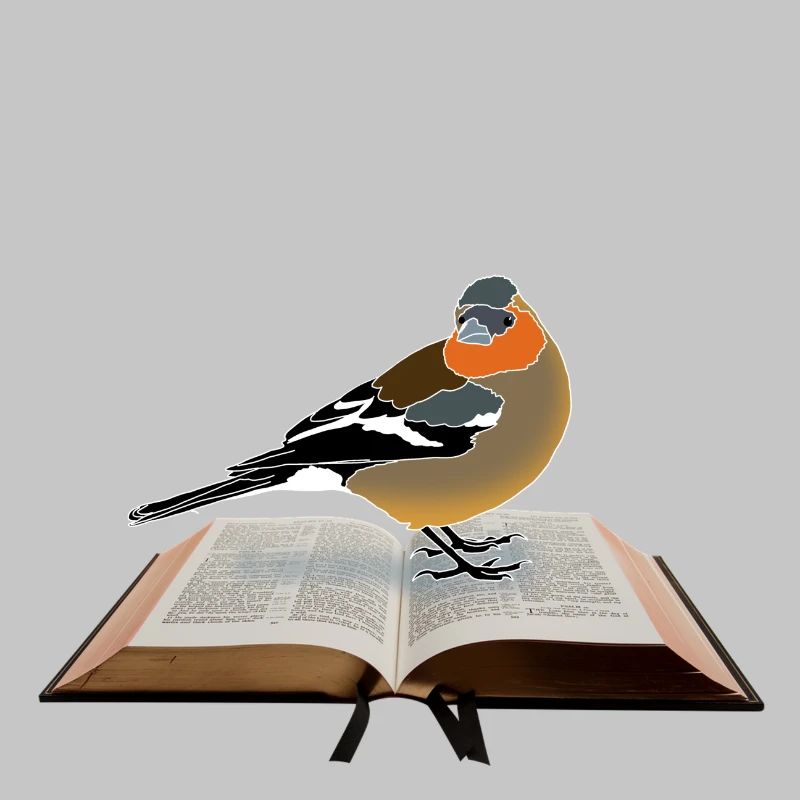 Buchfink auf Buch