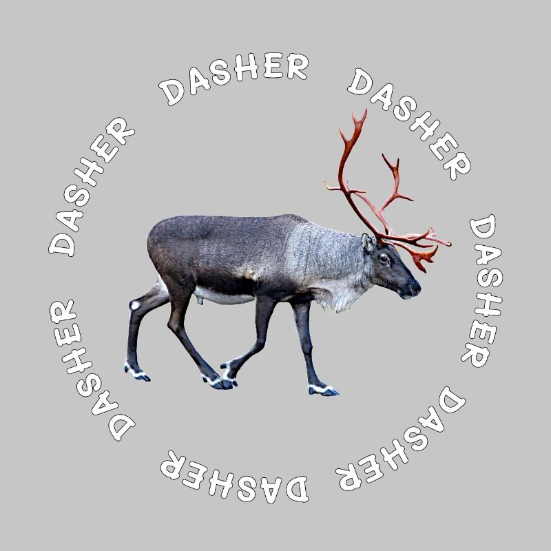 DASHER