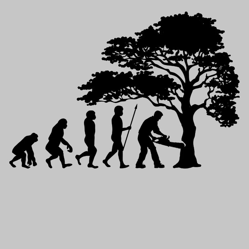 Lumberjack Tree Evolution Saw Sawdust