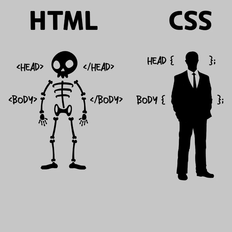 Developer Programmer Coden Css Scripting Code