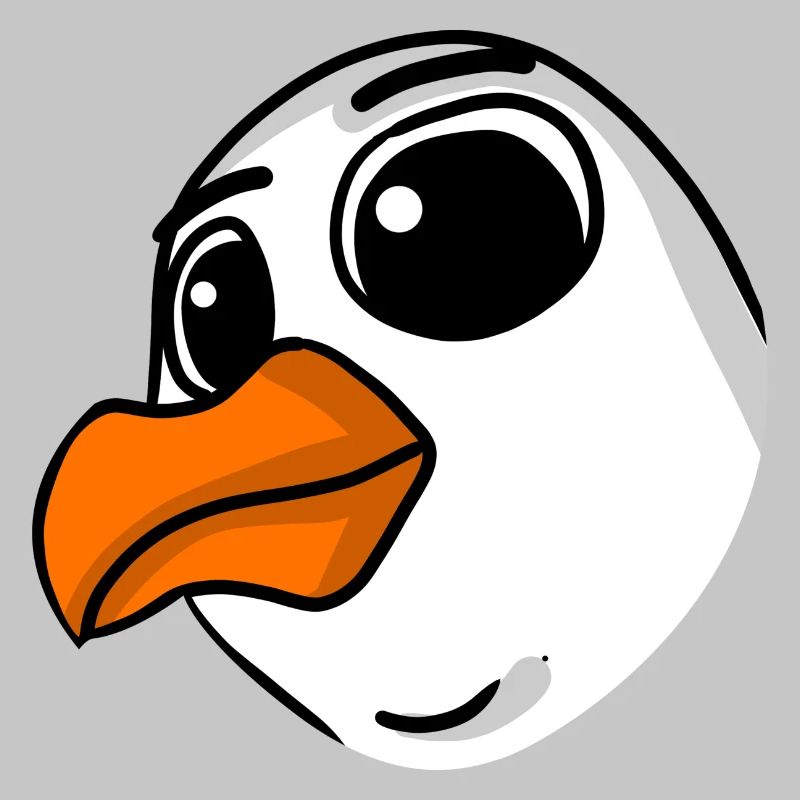 Möwe Kopf