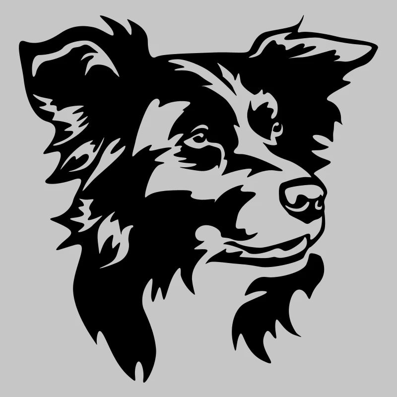 Border Collie Kopf