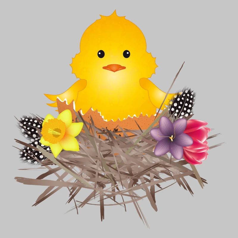 newly hatched chick in eggshell in nest