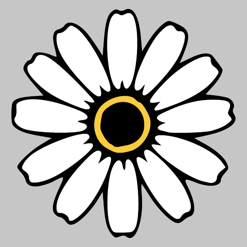 Fleurs blanches Fleurs blanches Fleurs blanches Fleurs sauvages Herbes