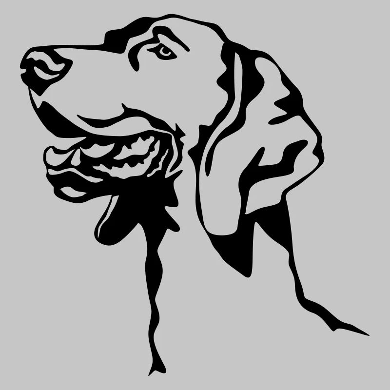 Weimaraner Kopf