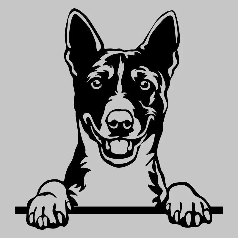 Chef Basenji