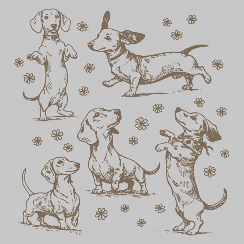 Teckel Teckel Chiens Teckels Teckel Chien teckel Teckel