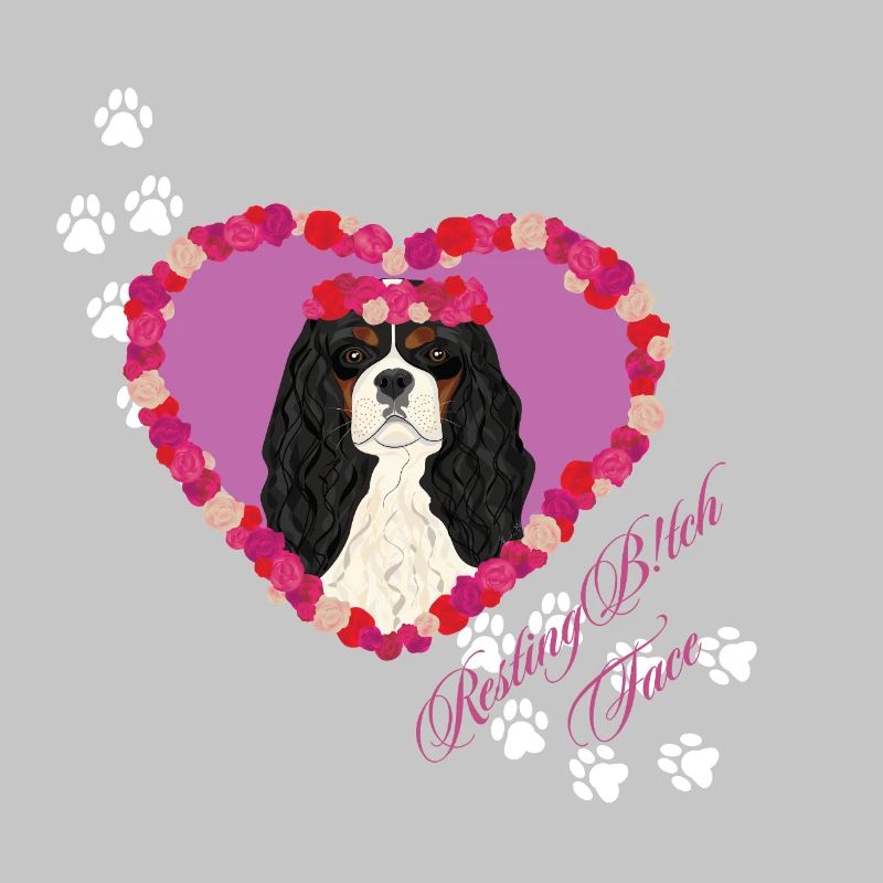 Ruhende B!tch Face Cavalier King