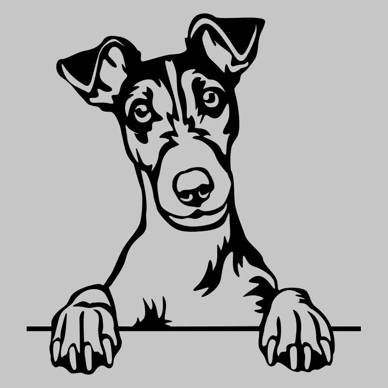 Tête de Fox Terrier