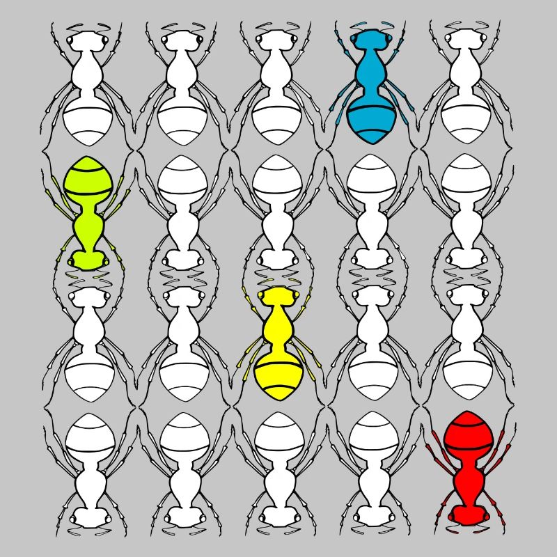 Ants