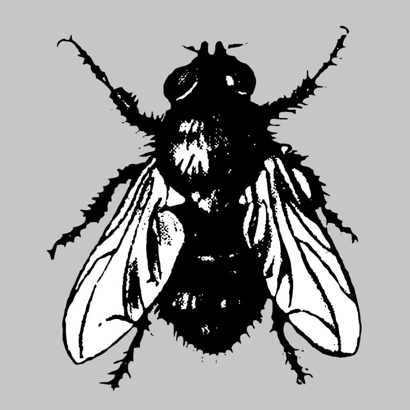Fliege