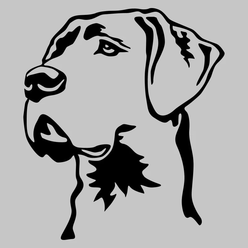 Great Dane head