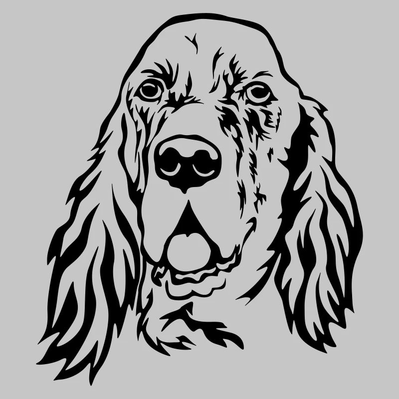 Englischer Setter Kopf