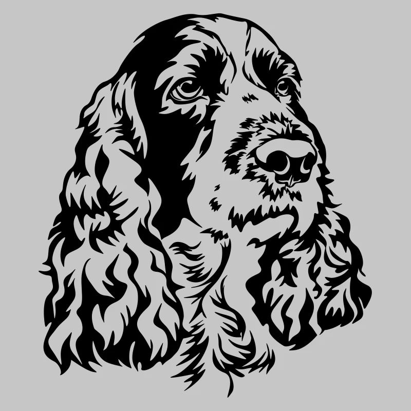 Englischer Springer Spaniel Kopf