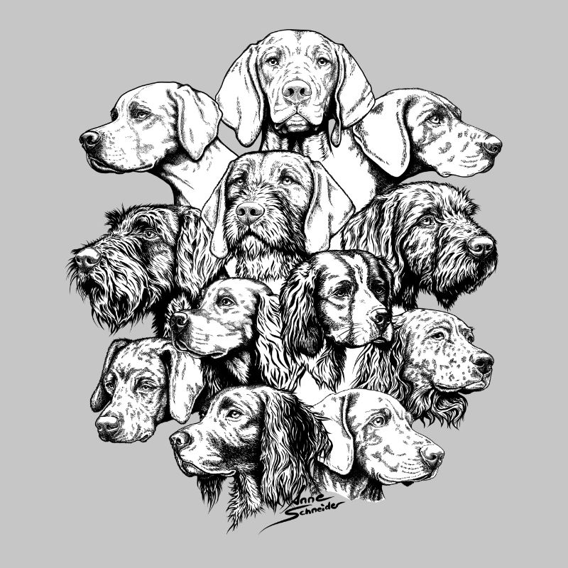 Chiens pointant des objets cachés