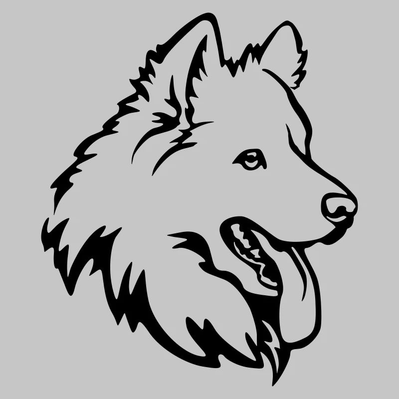 Samoyed head