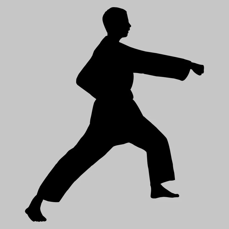 Punsch Karate oder Teakwondo Punsch