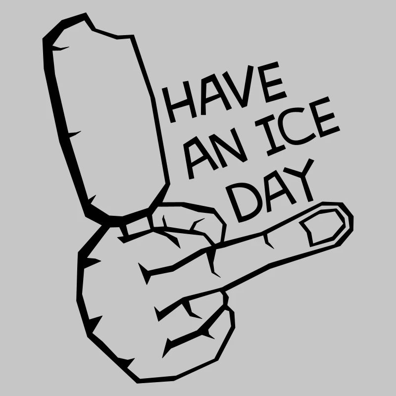 HAV E NICE DAY