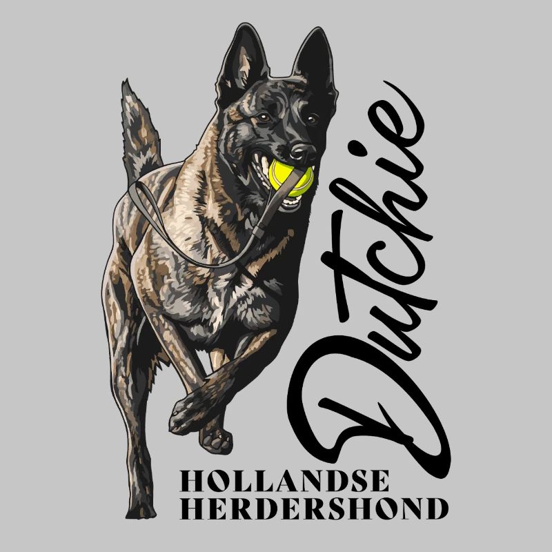 Dutch Shepherd – Dutchie