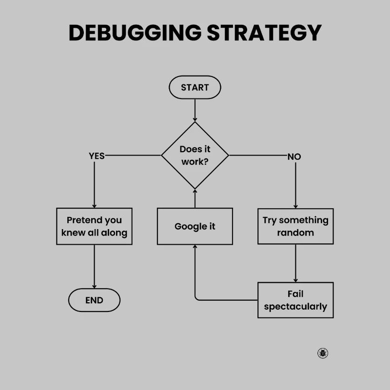 Debugging Strategy Flowchart - Does It Work Gift