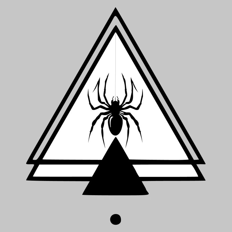 Spinne