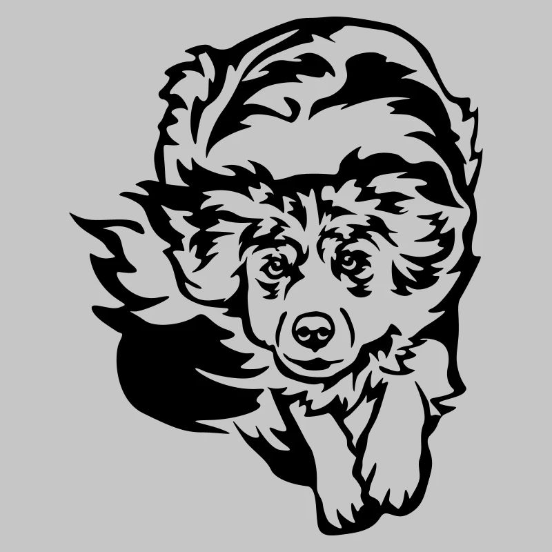 Australian Shepherd