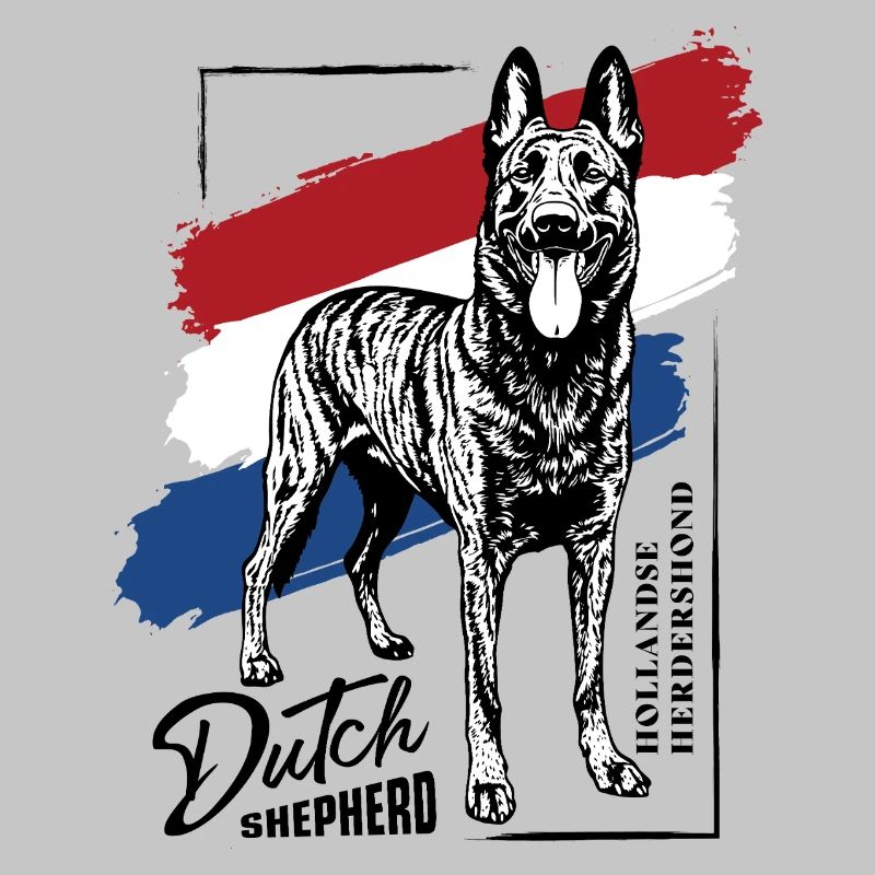 Dutch Shepherd – Dutchie