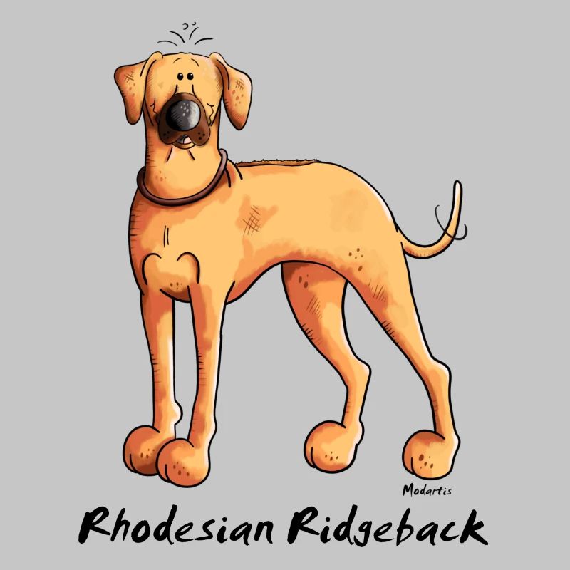 Cute Rhodesian Ridgeback