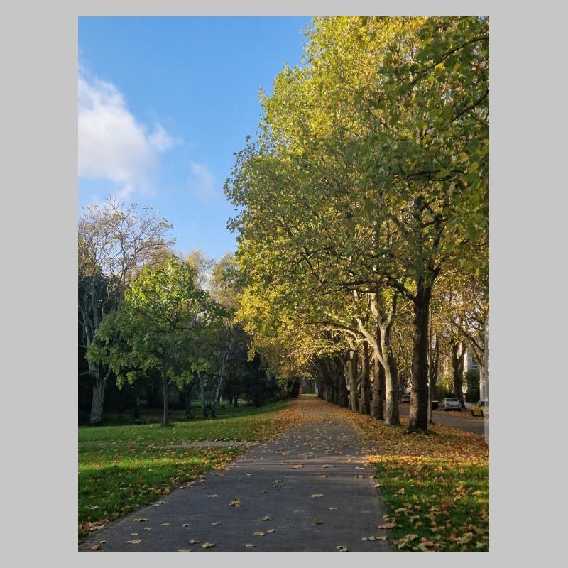 Autumn path through Lauballee