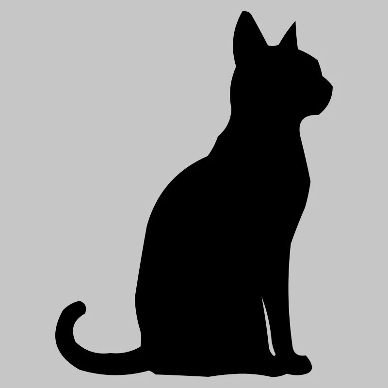 Katze Tier