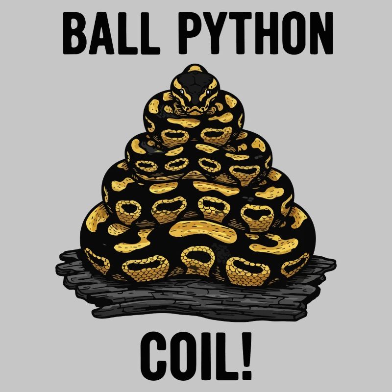 Python Royal Ball Python Coil Reptile Pyramide