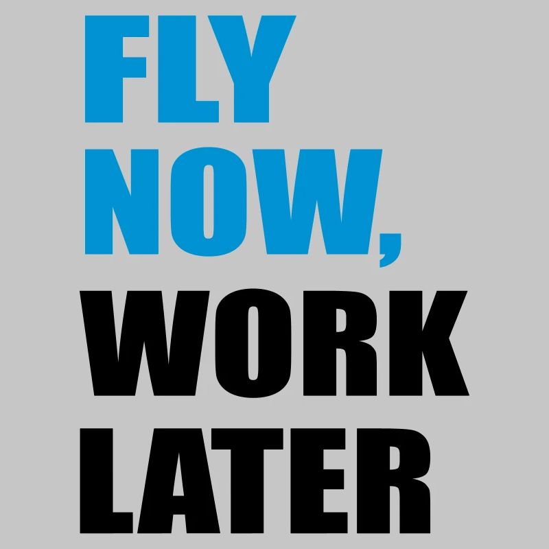 fly
