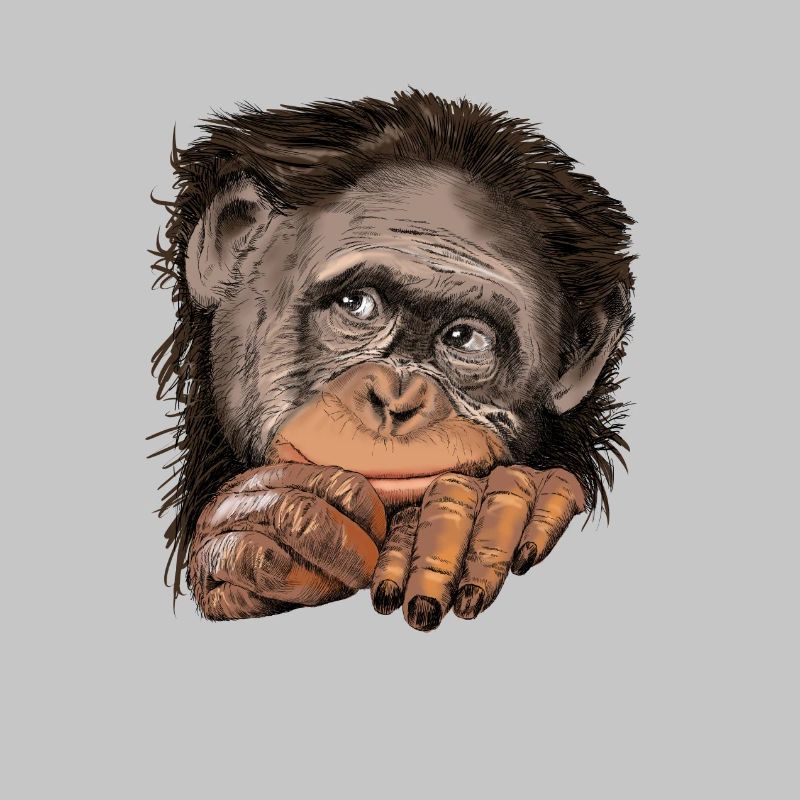 Monkey