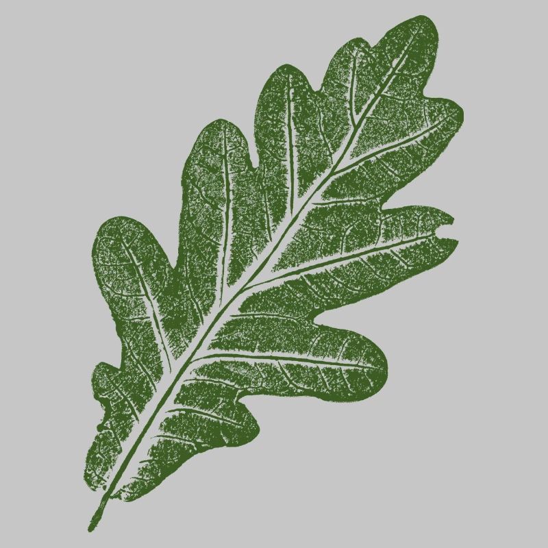 Oak Leaf / Green