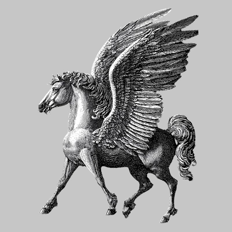 Winged Pegasus – Mythological Engraving