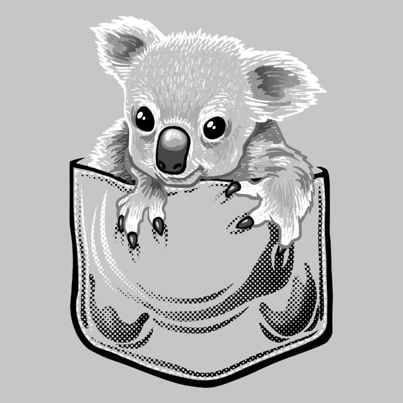Koala pochette
