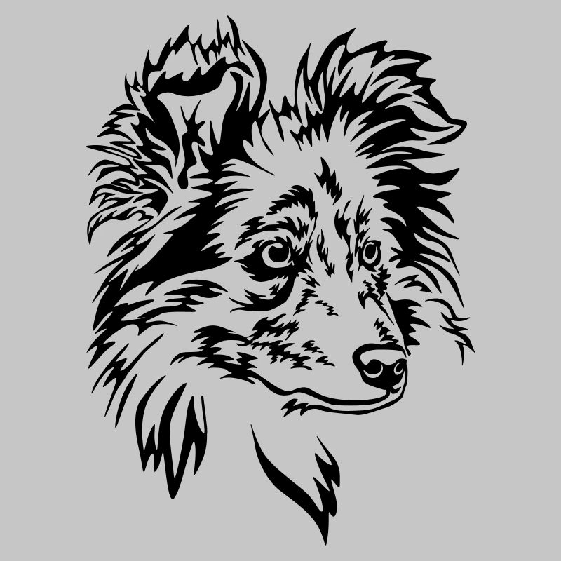 Sheltie Kopf
