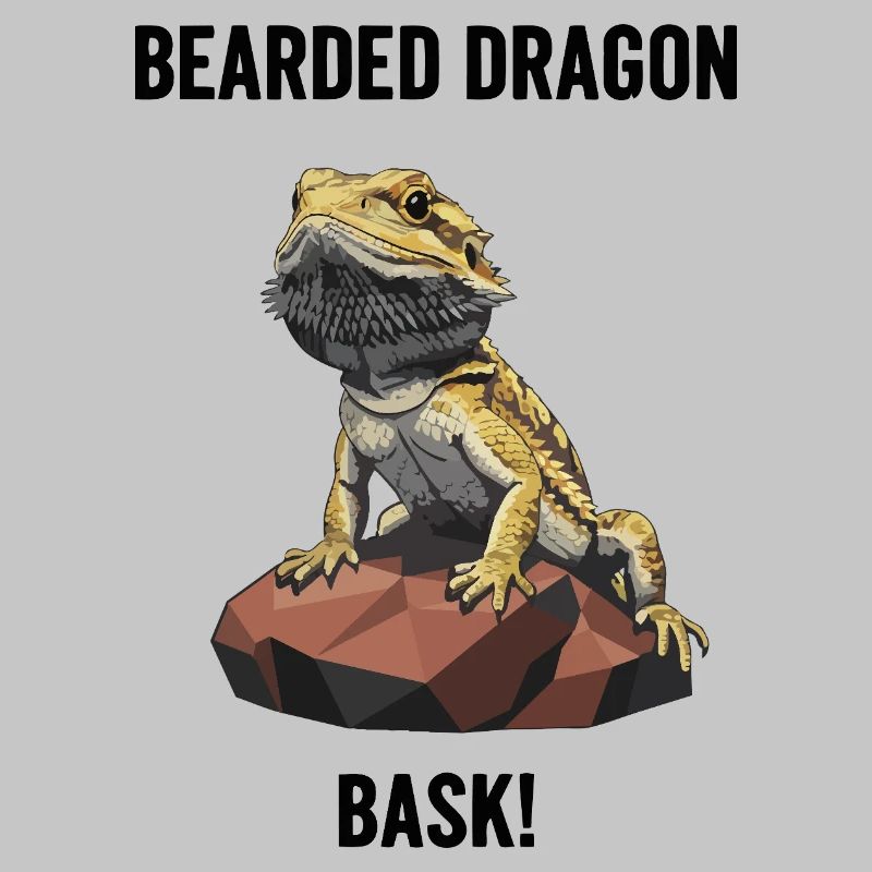 Agame Bearded Lizard Bask Bearded Dragon