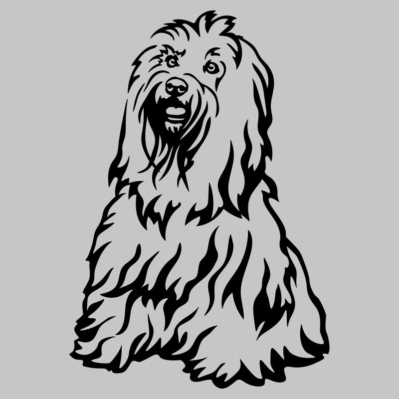 Tibet Terrier