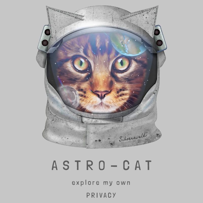 | de chat de l’espace Chat astronaute dans l’espace