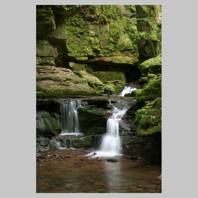 Black Forest Monbach
