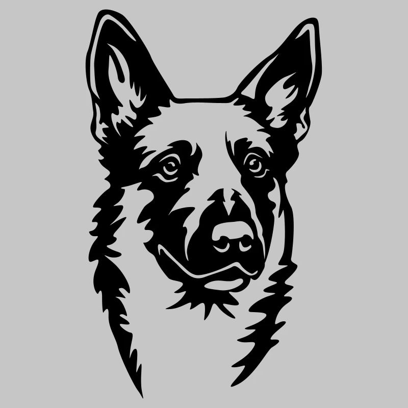 Malinois Kopf