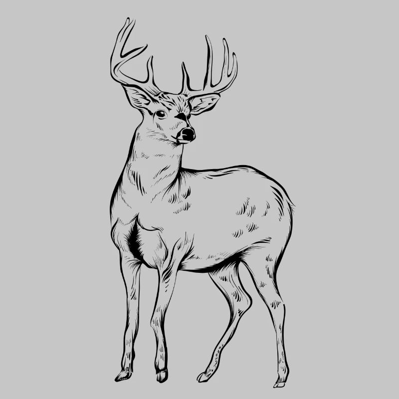 deer