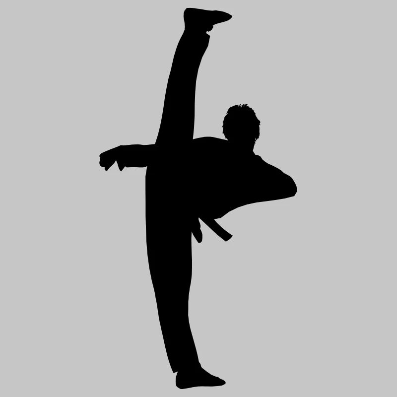 High Kick von Taekwondo oder Karate Schattenfigur