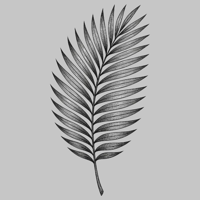 Black palm leaf pattern