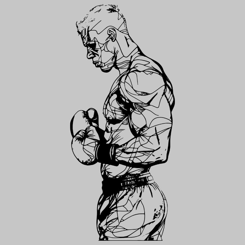 Boxer Drawing