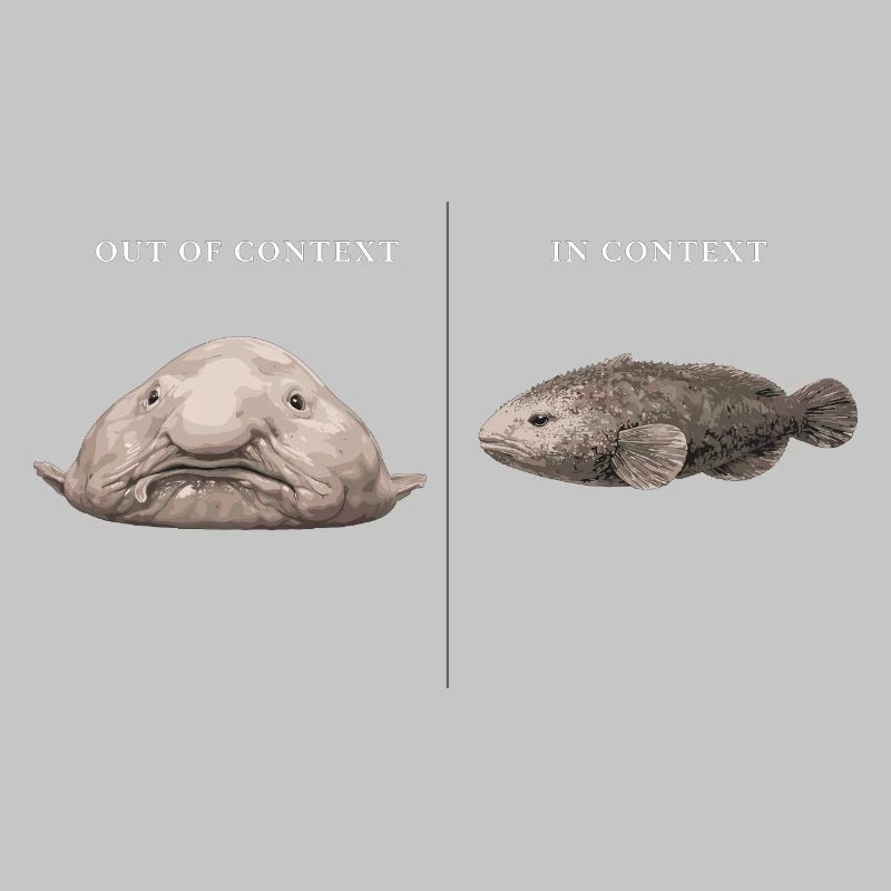 Blobfish hors contexte vs comparaison dans le contexte